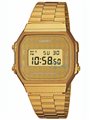 CASIO Collection Gold Stainless Steel