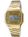 CASIO Collection Gold Stainless Steel 